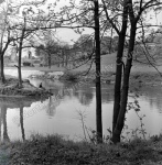 Fishing, River Derwent, Kirkham Abbey, 1964